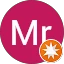 Mr Googler